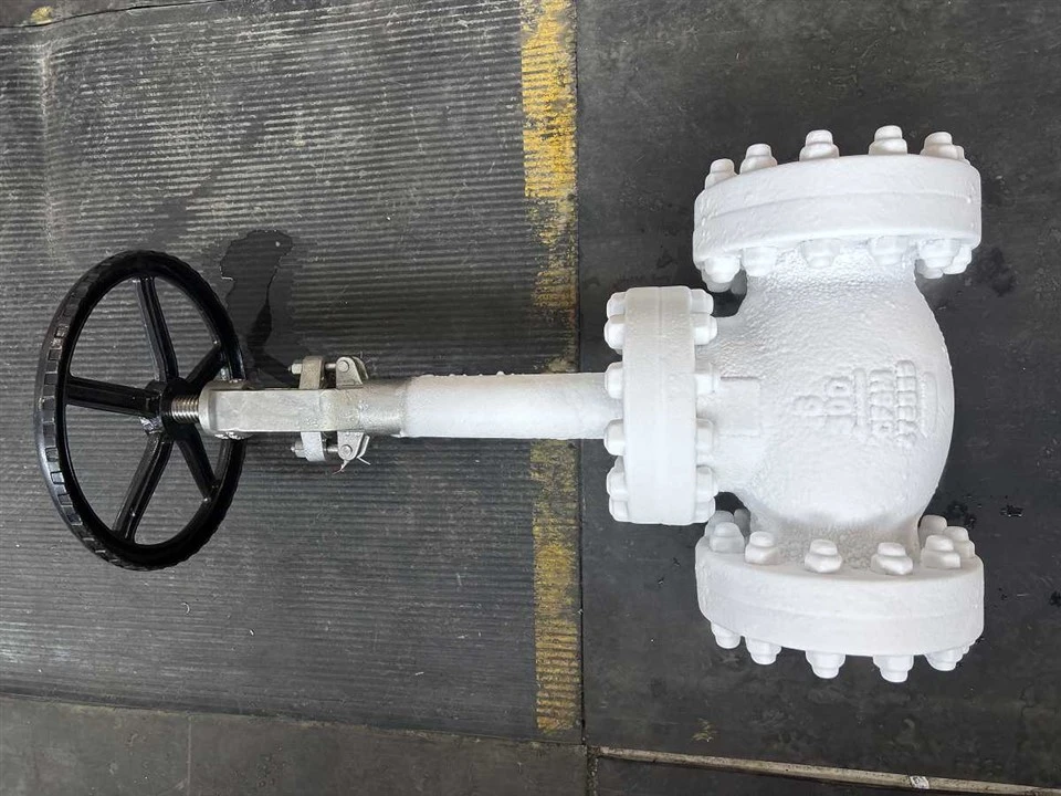 Cryogenic Globe Valve